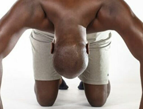 Male pelvic floor